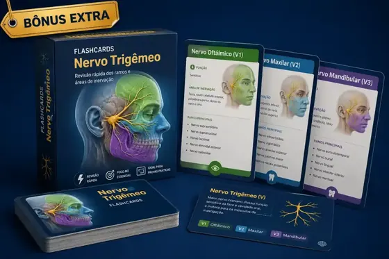 Flashcards do Nervo Trigêmeo